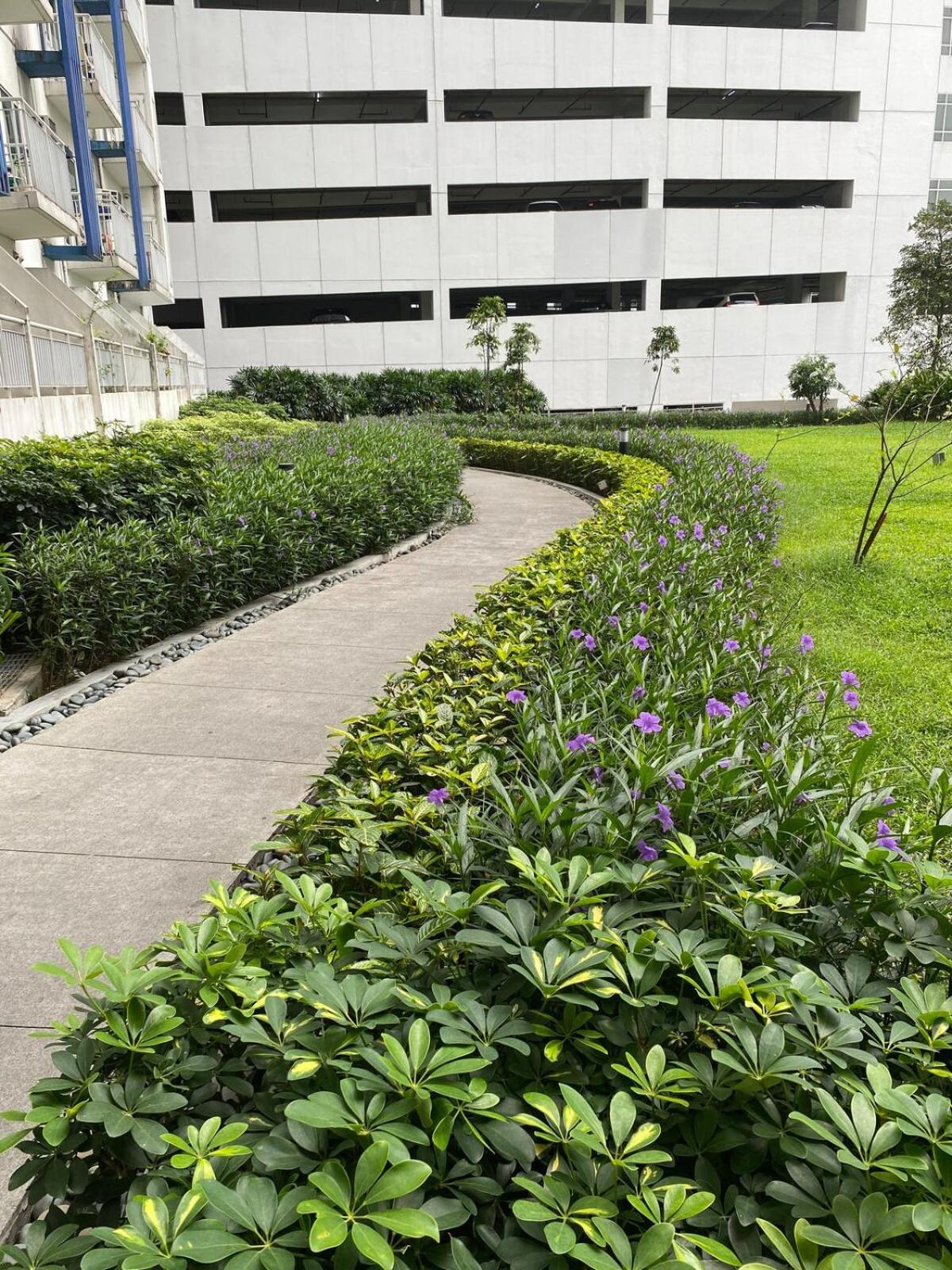 Grass Tower2 29th Apartment Manila